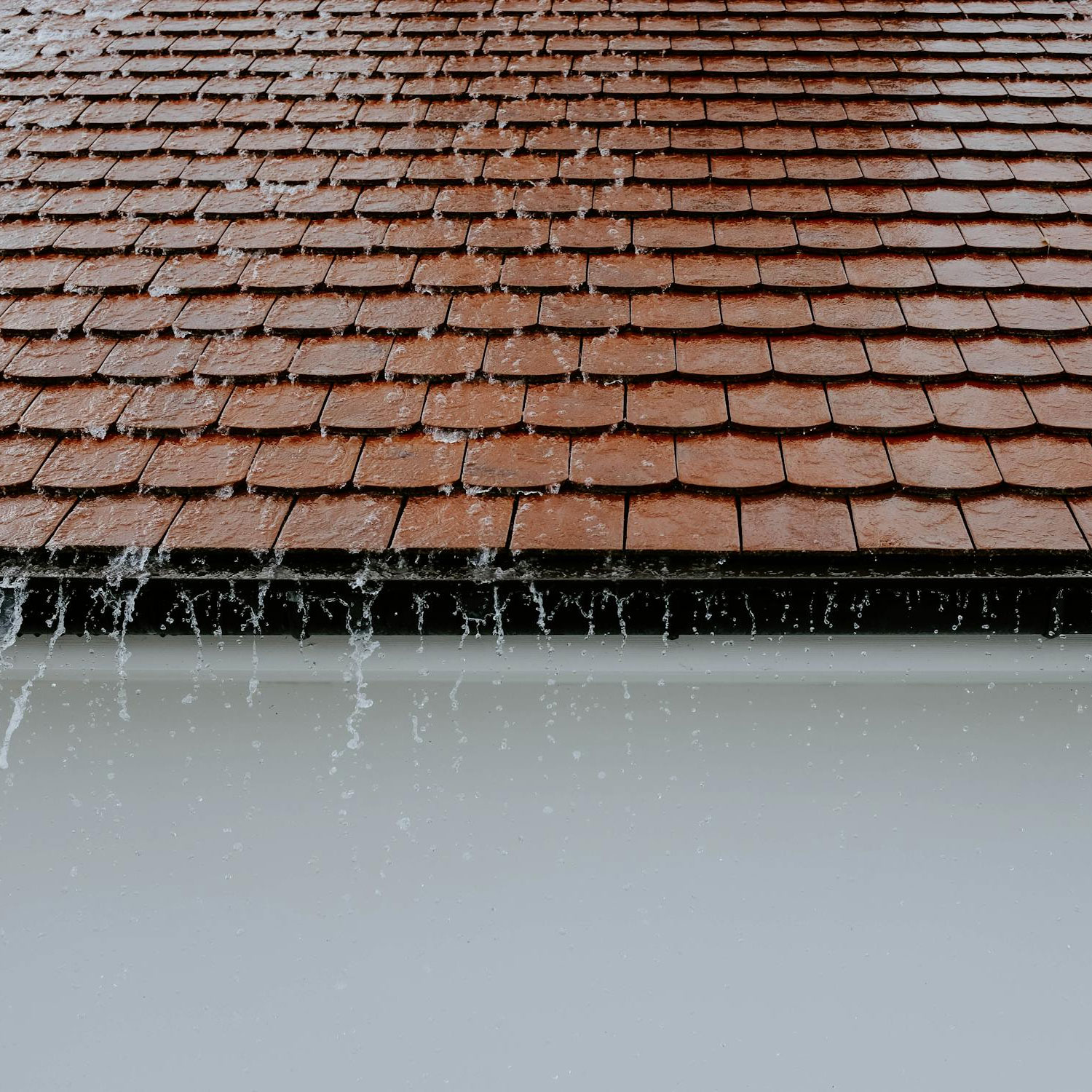 Domestic solutions from Orion Access Domestic solutions from Orion Access